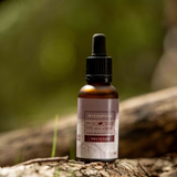 Lion's Mane Liquid Extract