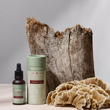 Turkey Tail Liquid Extract