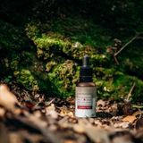 Turkey Tail Liquid Extract